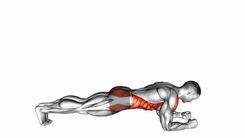 Front Plank with Twist